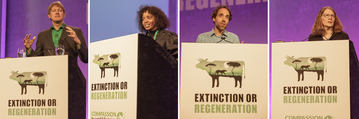 Four speakers at the conference