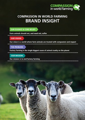 CIWF brand values document cover. Three sheep in a field.