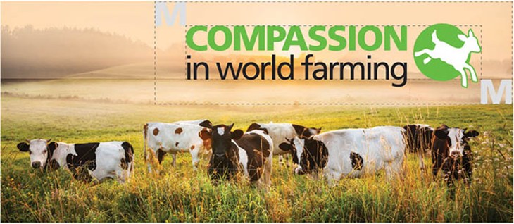 117339_CIWF_logo clearance_3.jpg