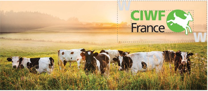 117334_CIWF_France_clearance.jpg