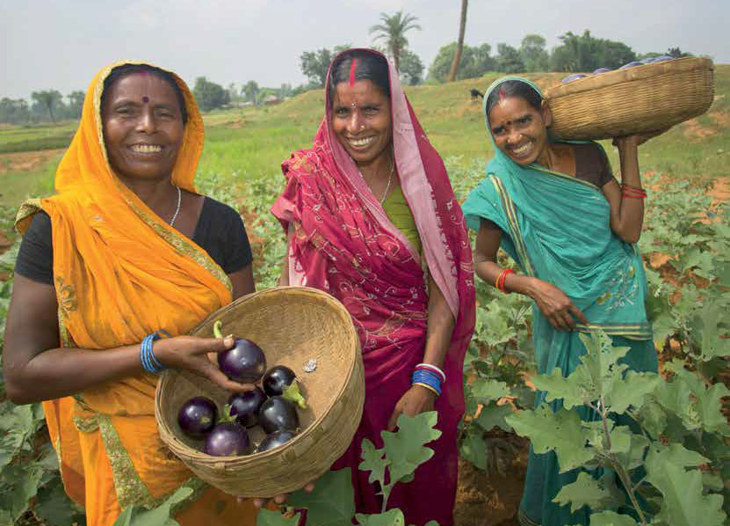 Three women harvesting crops