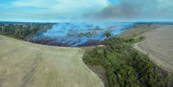 Deforestation burning forests