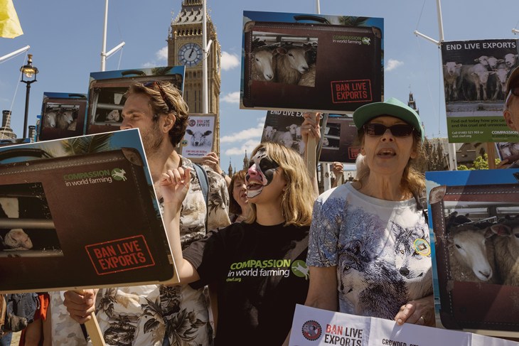 Supporters hold up placards to protest against live exports