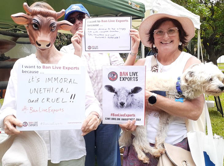 Image of campaigners wearing masks in support of Ban Live Exports Awareness Day