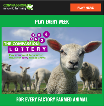 logo with small text on image shows poor accessibility