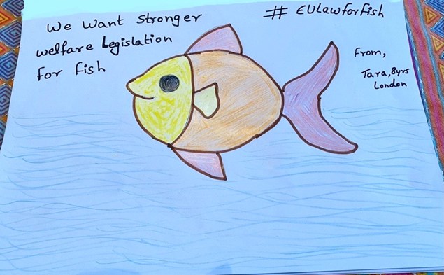 Child's drawing of a fish with statement we want stronger welfare legislation for fish