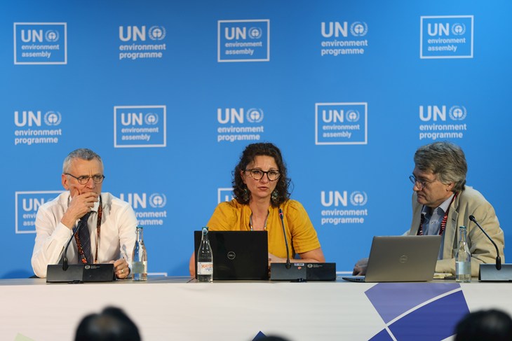 Head of International Affairs speaks with other panel members, pictured in front of the UNEA logo blue and white background
