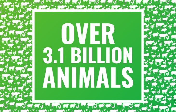 Pie chart showing over 2 billion animals set to benefit from pledges, awards, and partnership projects